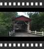 ../pictures/Everett Road Covered Bridge/DSCF9072_1_small_icon.jpg